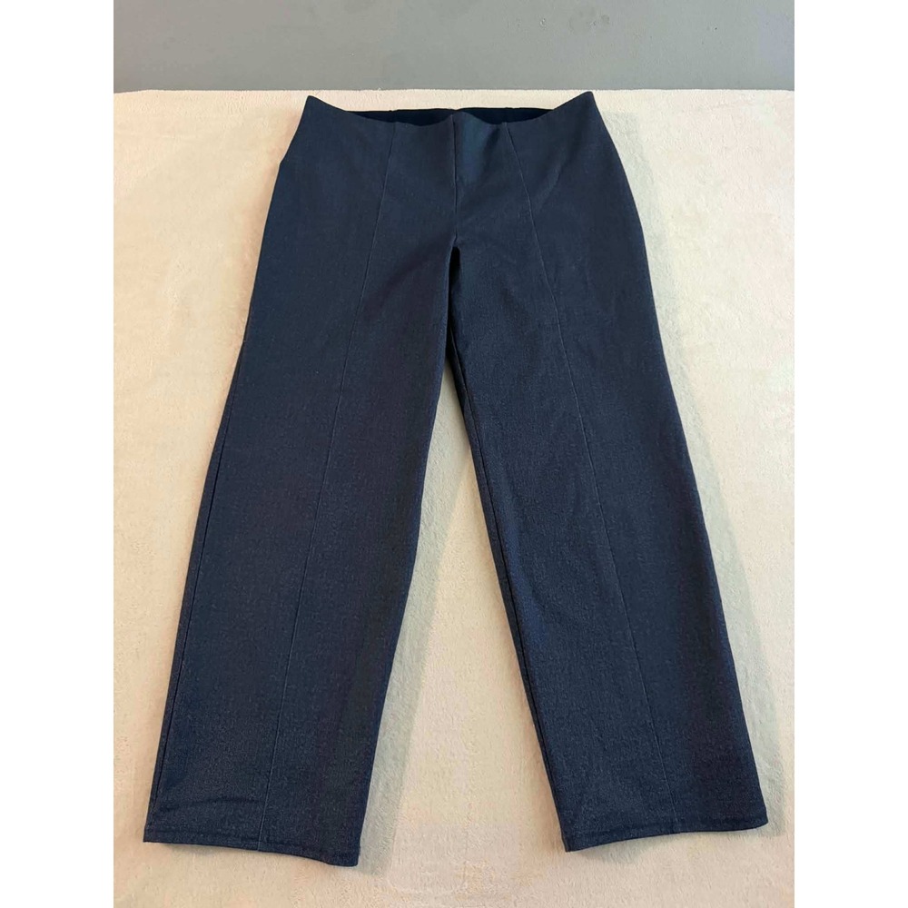 Investments Woman Womens 1X Blue Slim Factor Slim Straight Pull On Pants Seamed